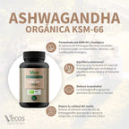 Ashwagandha KSM 66 de Vecos Nucoceutical beenficios características