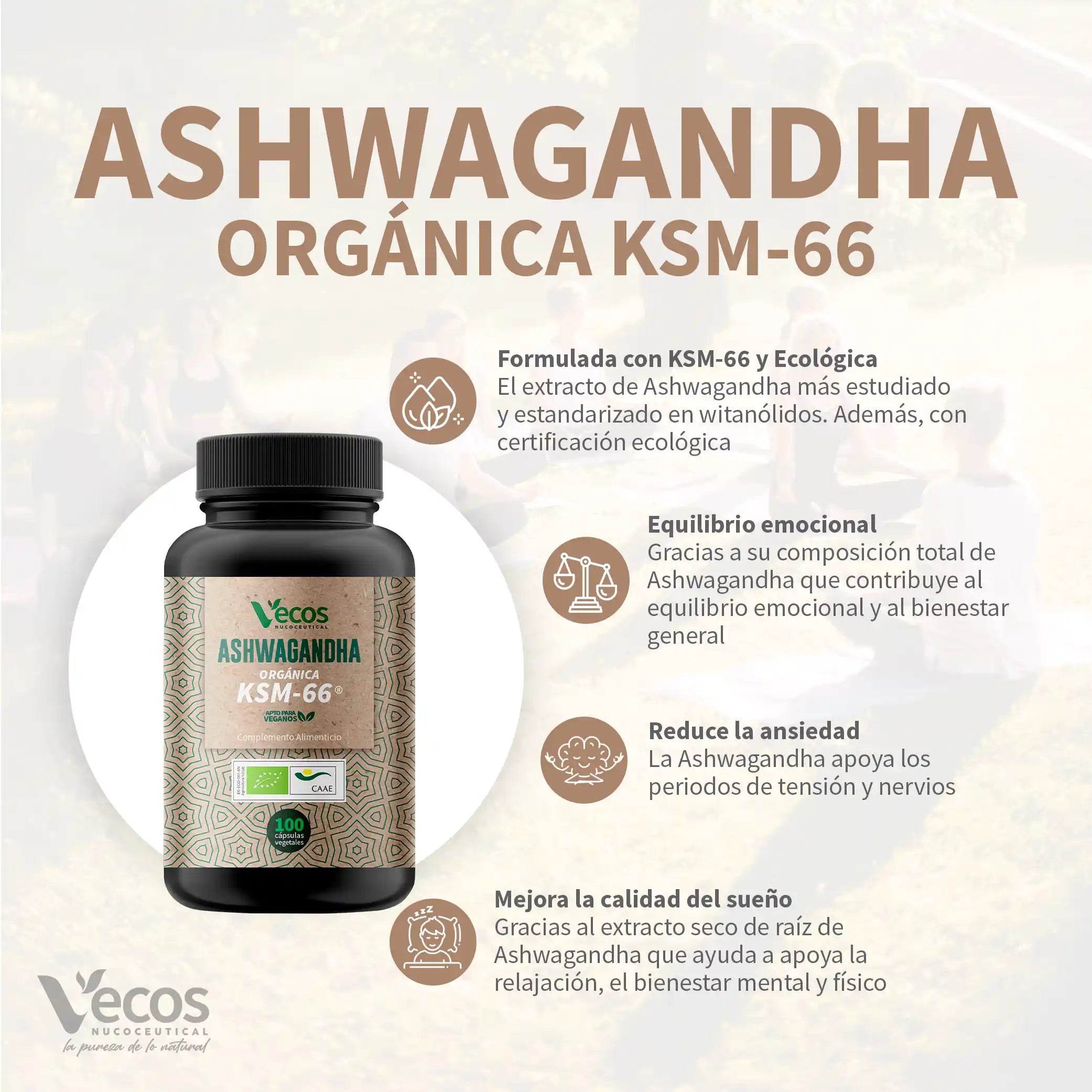 Ashwagandha KSM 66 de Vecos Nucoceutical beenficios características