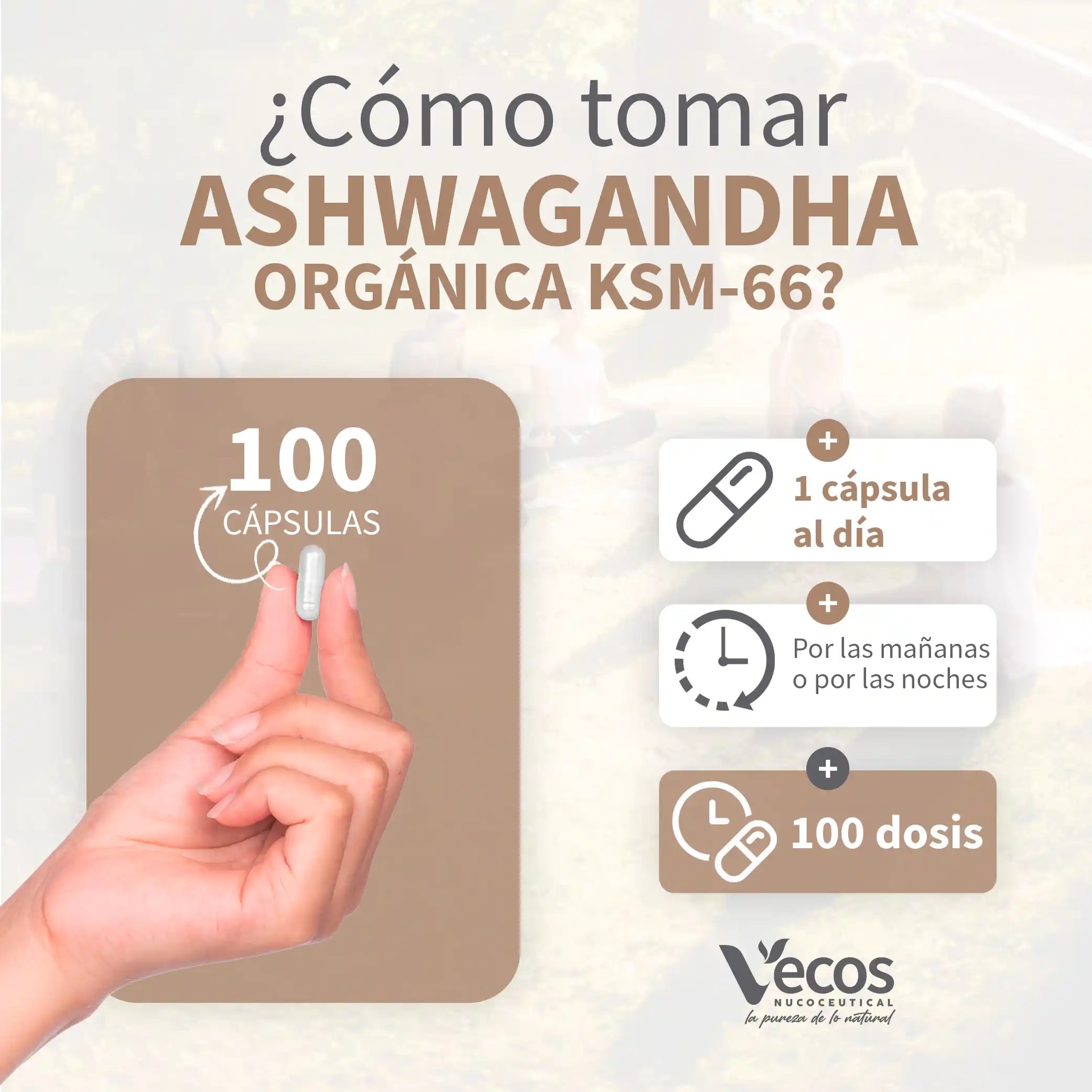 Ashwagandha KSM 66 de Vecos Nucoceutical beenficios posología
