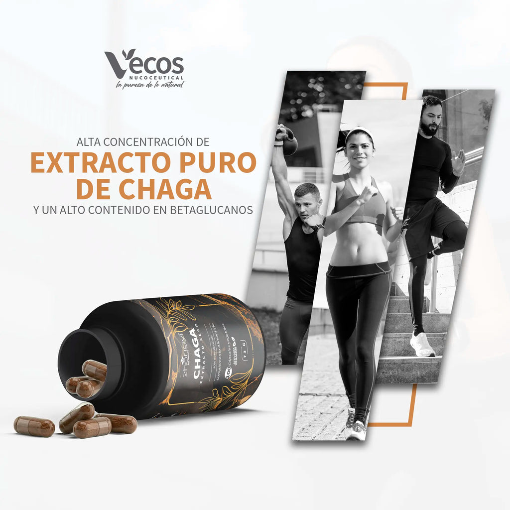 CHAGA ZHONGYI 100 Cápsulas es un complemento de hongo chaga, pensado para apoyo antioxidante y bienestar inmunitario general.