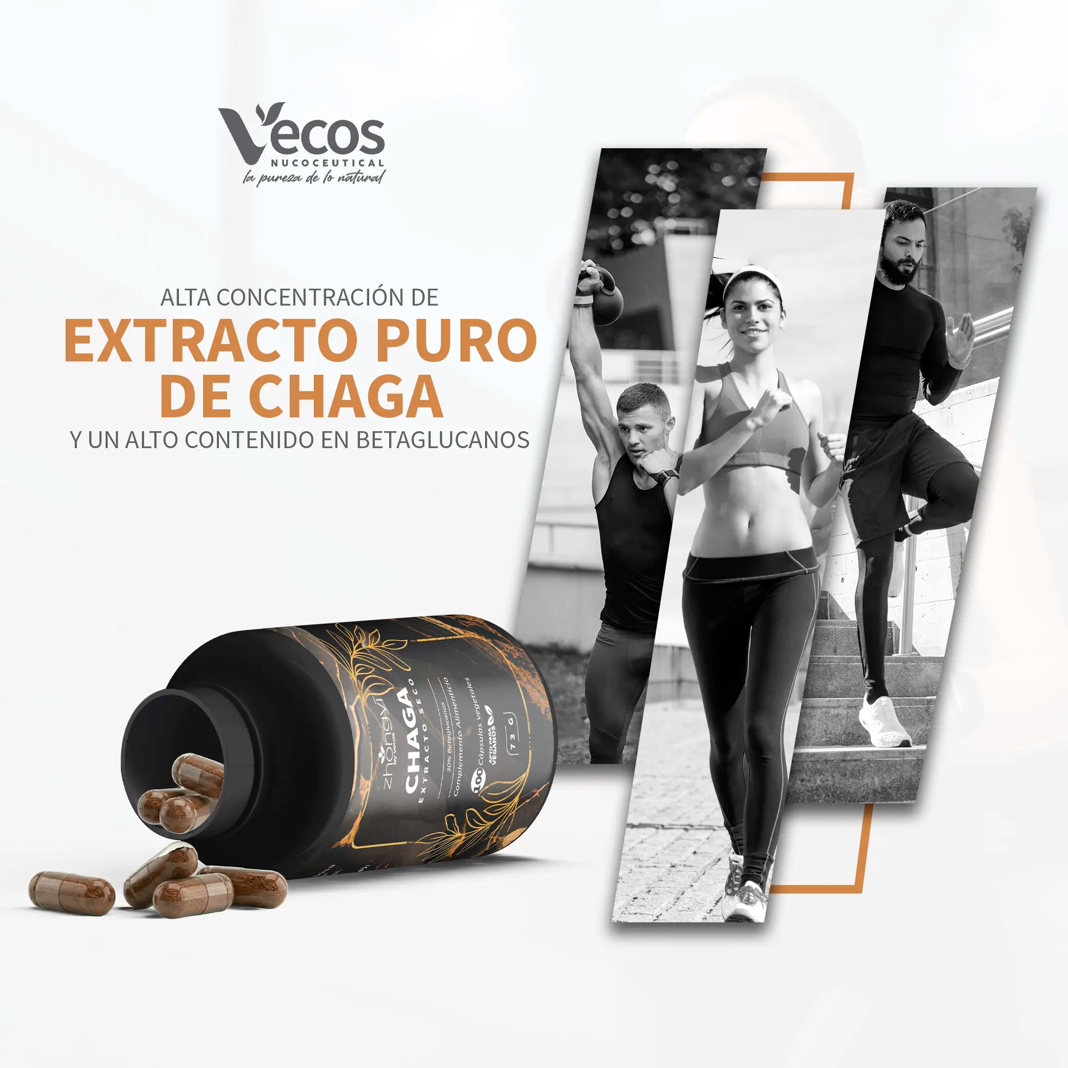 CHAGA ZHONGYI 100 Cápsulas es un complemento de hongo chaga, pensado para apoyo antioxidante y bienestar inmunitario general.