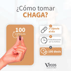 Chaga (100 cápsulas)