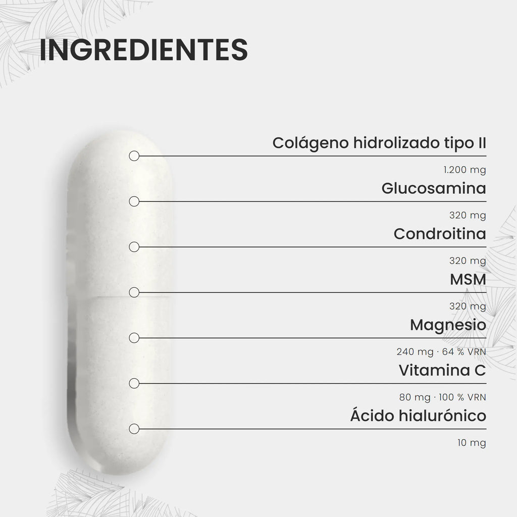 Colágeno Hidrolizado Tipo II (160 cápsulas)
