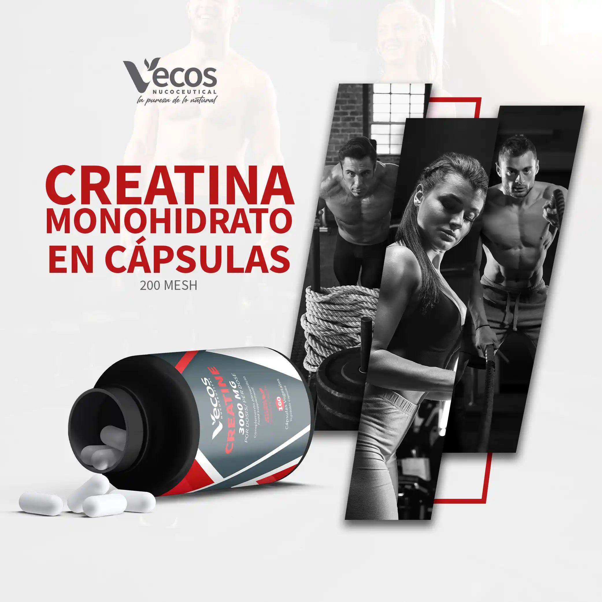 creatina-3000-mg-160-capsulas-beneficios-vecos-nucoceutical