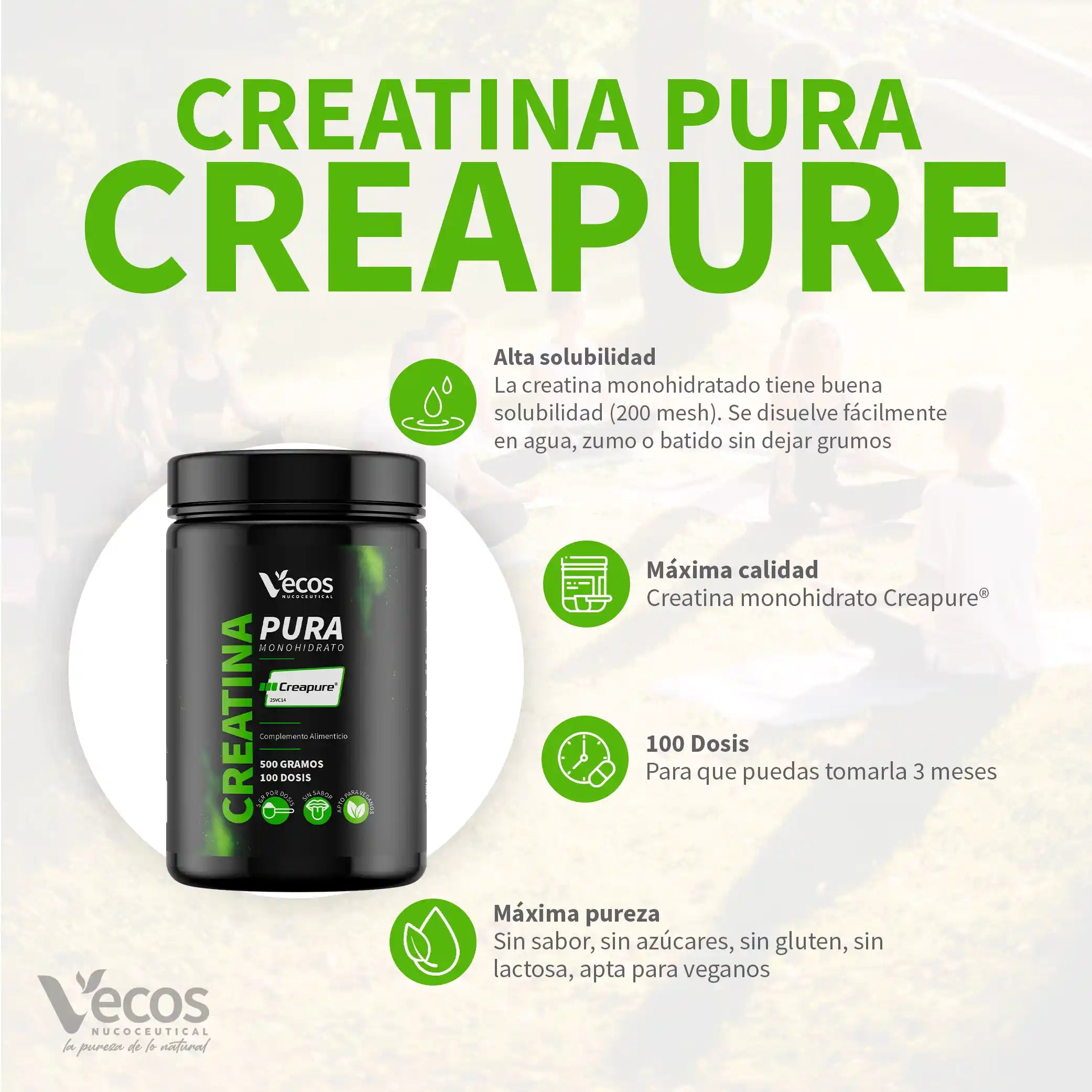 creatina-pura-creapure-500-g-caracteristicas-vecos-nucoceutical