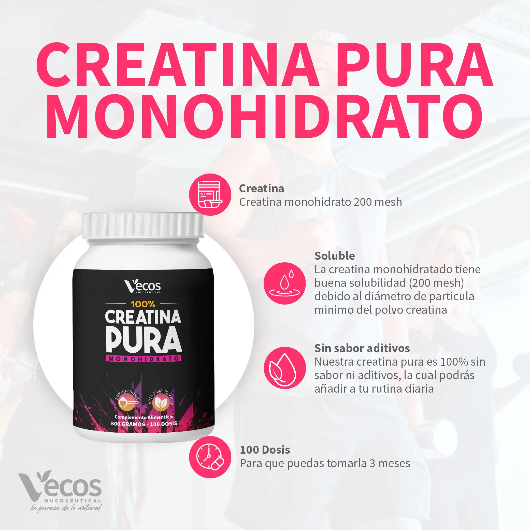 creatina-pura-monohidrato-500-g-caracteristicas-vecos-nucoceutical (1) (1)