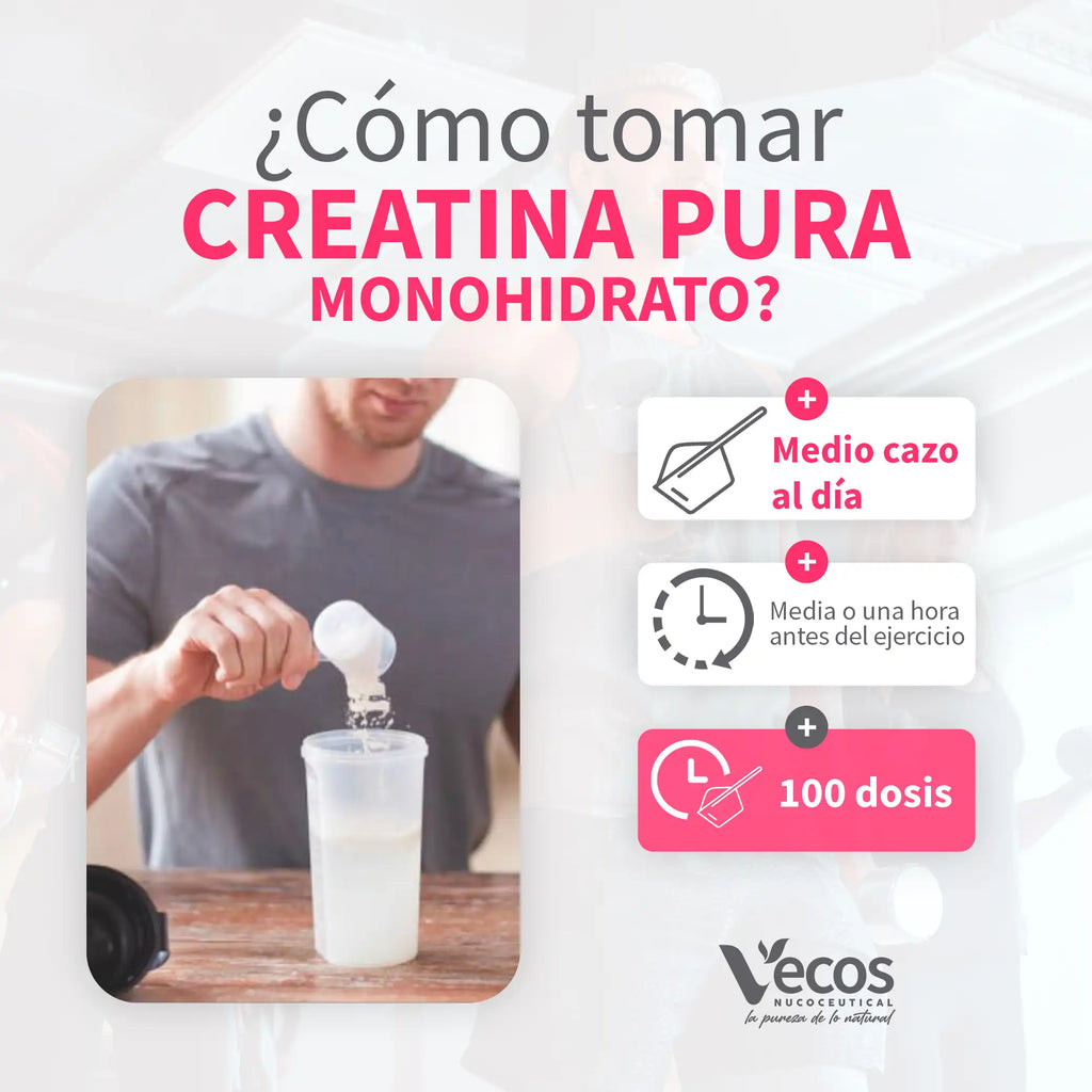 creatina-pura-monohidrato-500-g-posologia-vecos-nucoceutical (1)