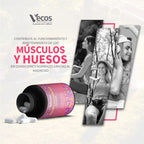 isoflavonas-soja-calcio-magnesio-zinc-75-capsulas-beneficios-vecos-nucoceutical