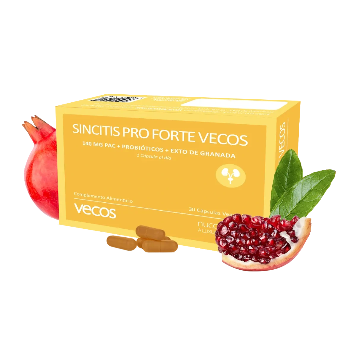 sincitis-pro-forte-30-capsulas beneficios