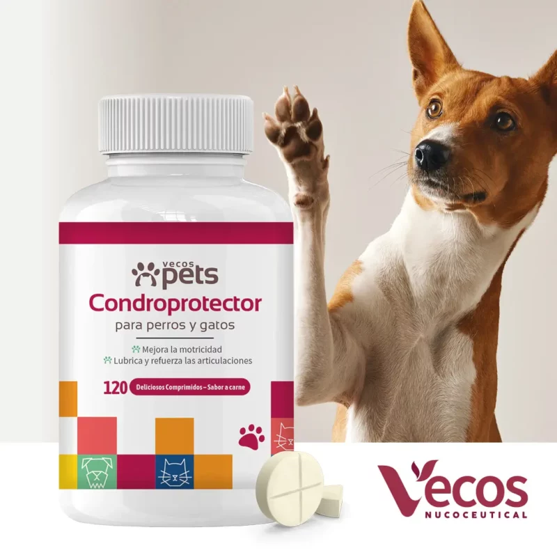 Condroprotector perros y gatos